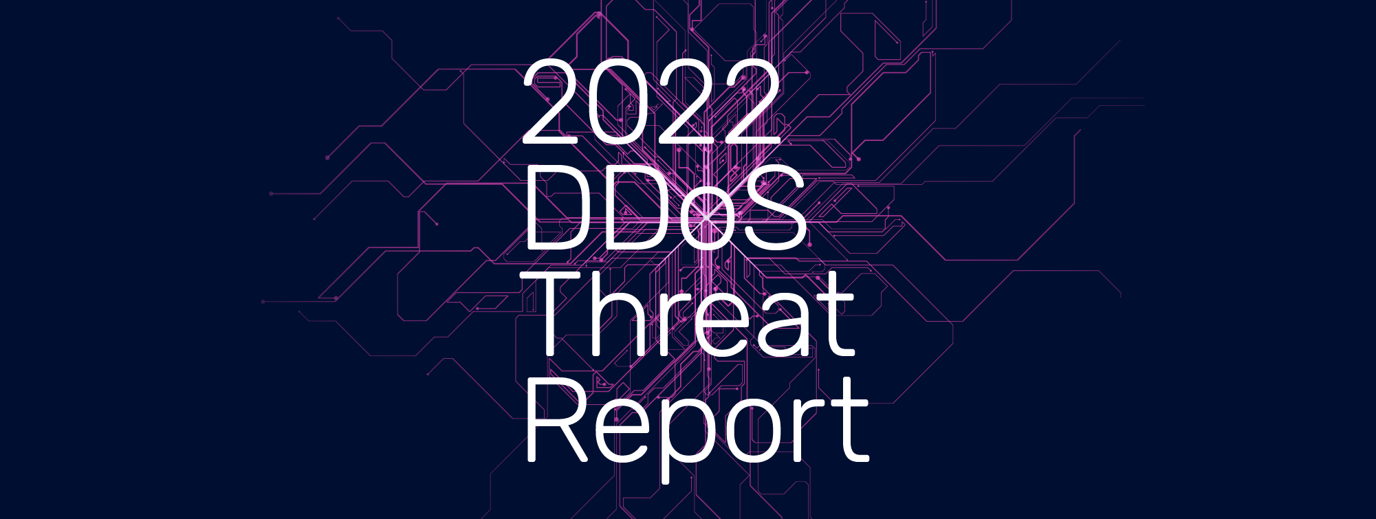 وضعیت جهانی سلاح های DDoS